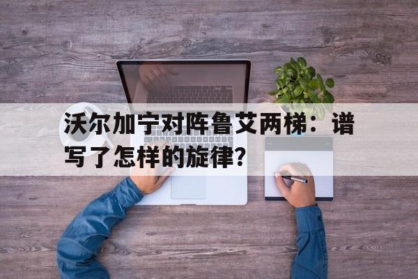 沃尔加宁对阵鲁艾两梯：谱写了怎样的旋律？的简单介绍
