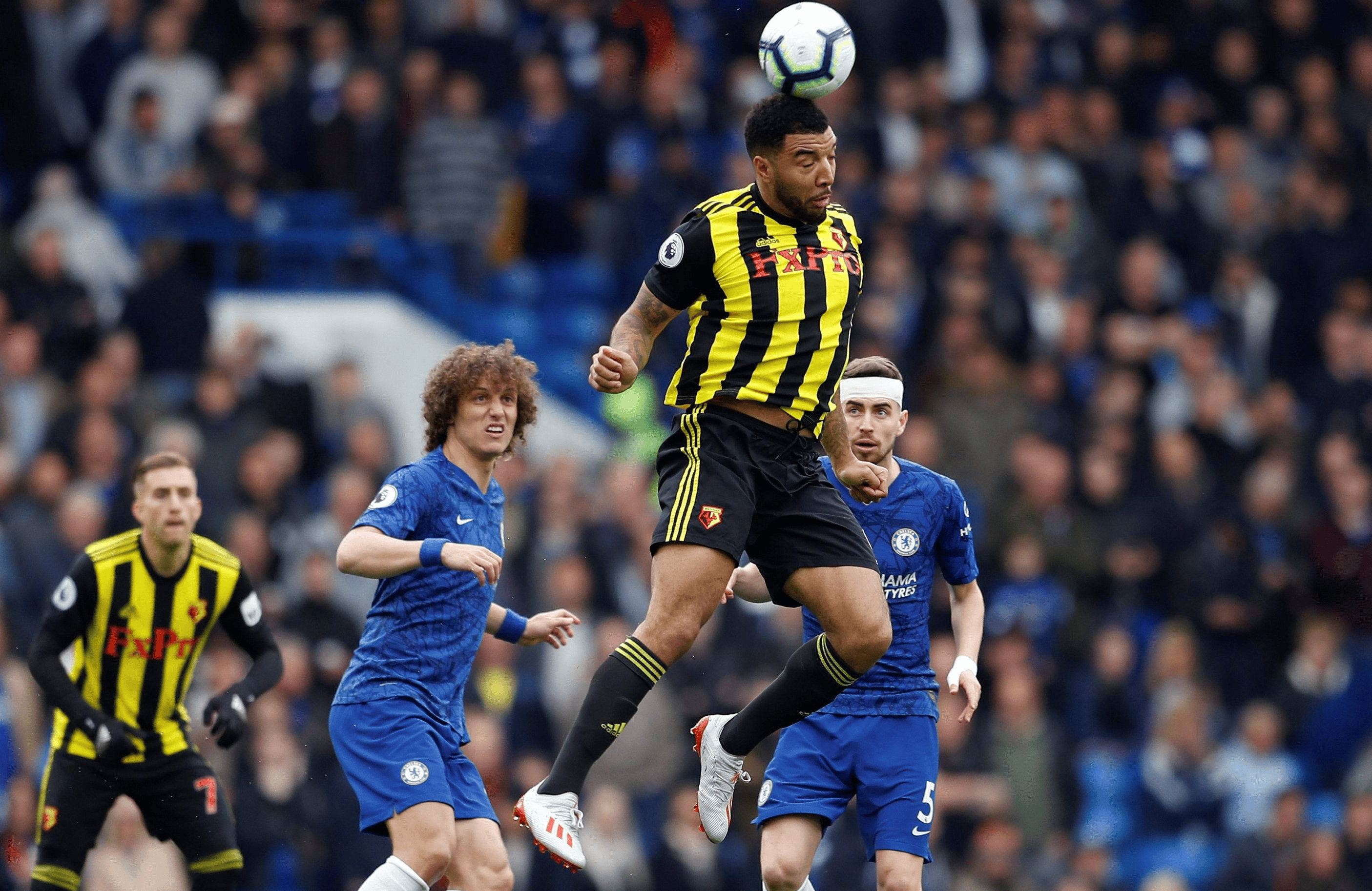 PG电子APP-关于布里斯托尔城主场盛大登场，豪取胜利的信息