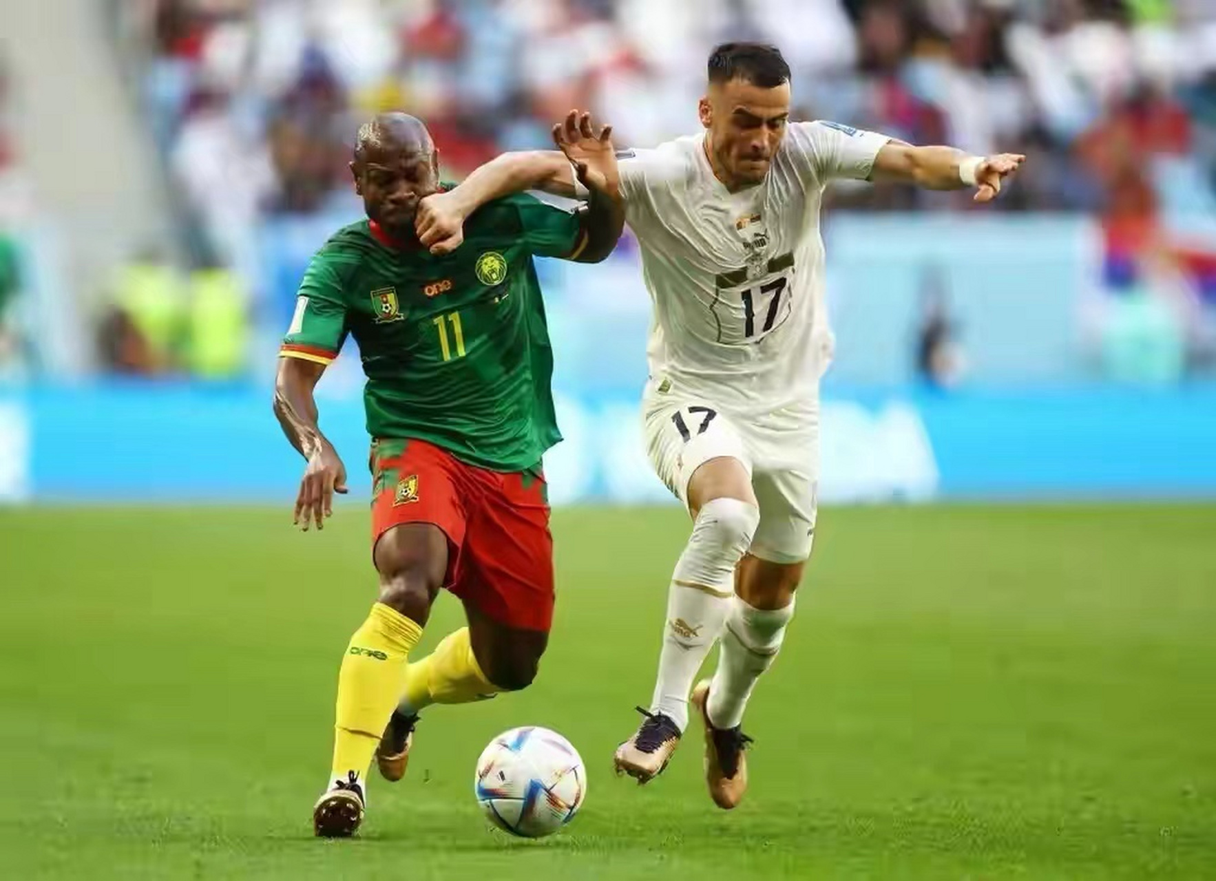 塞尔维亚战平葡萄牙，意外之喜，晋级前景蒸蒸日上的简单介绍